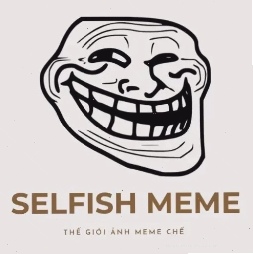 Meme gấu trúc bựa với dòng chữ hài hước