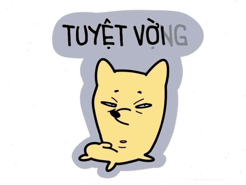 Meme hài hước về cuộc sống
