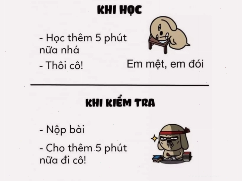 Meme hài hước về việc học tập