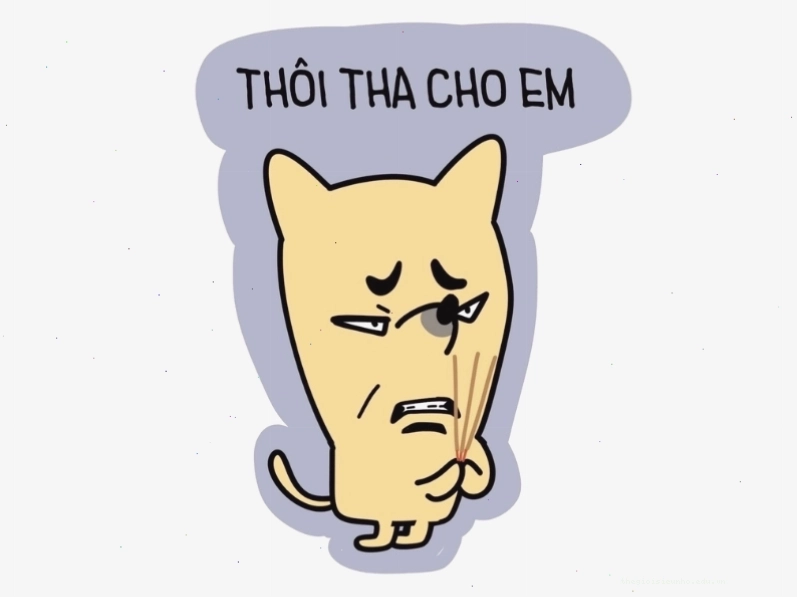 Meme hài hước xin tha mạng
