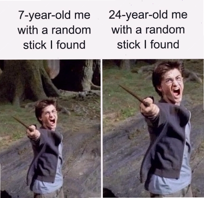 Meme Harry Potter so sánh niềm vui tìm thấy que củi của trẻ em và người lớn