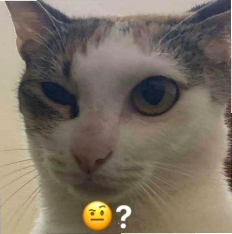 Meme hỏi chấm độc đáo với nhiều biến thể