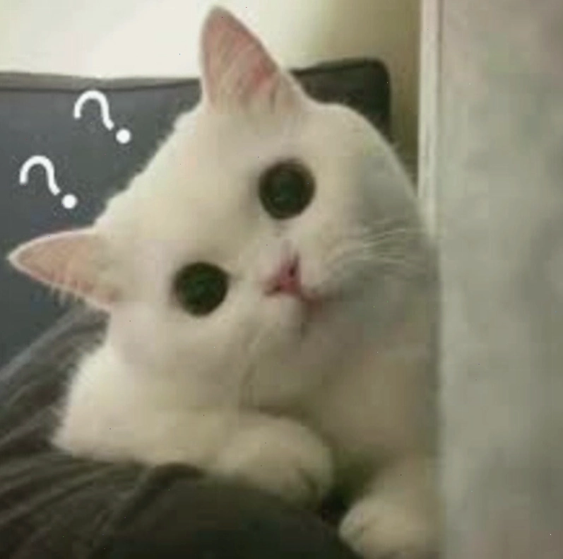Meme hỏi chấm hình mèo độc đáo