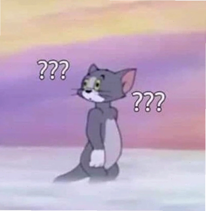 Meme hỏi chấm hình mèo gây sốt cộng đồng mạng