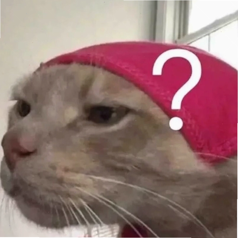 Meme hỏi chấm hình mèo ngộ nghĩnh