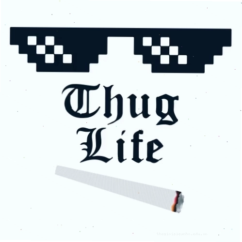 Meme Man với phong cách Thug Life