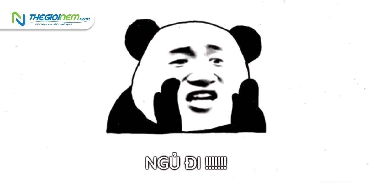 Meme mặt ngái ngủ hài hước