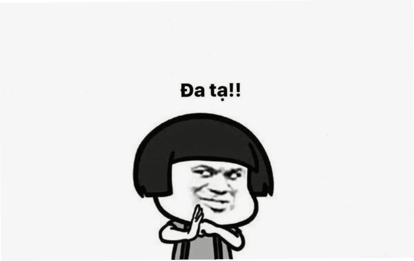 Meme mèo bựa cực hài hước