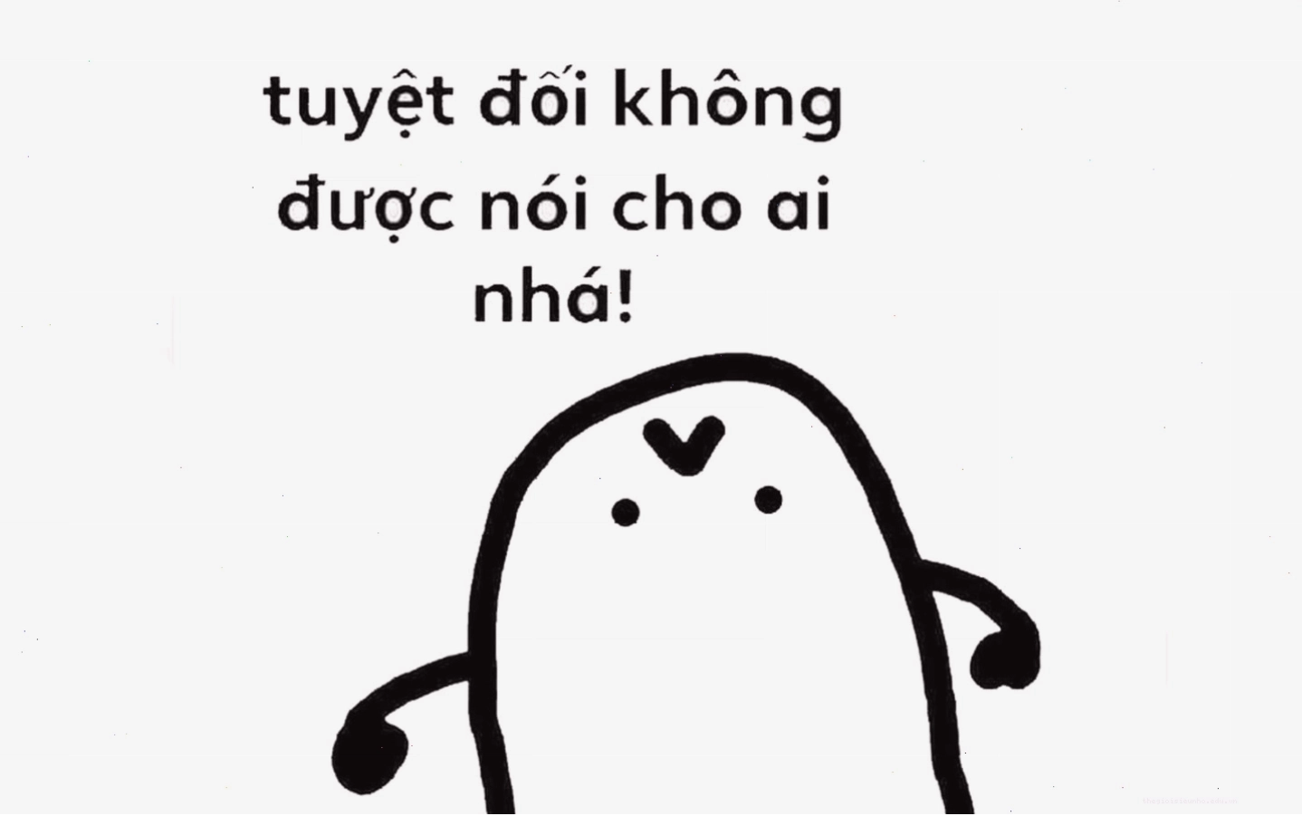 Meme mèo bựa thể hiện sự bất mãn