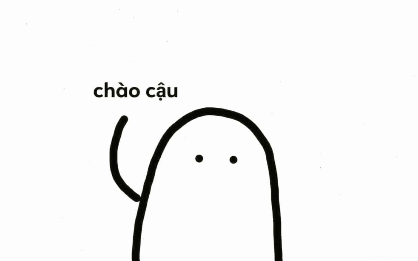 Meme mèo bựa thể hiện sự ngạc nhiên