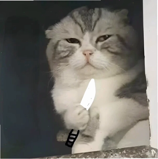 Meme mèo cầm dao ngầu với phong thái ấn tượng