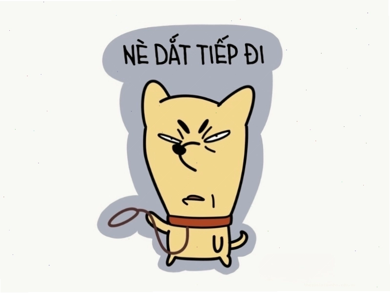 Meme mèo cười lầy lội