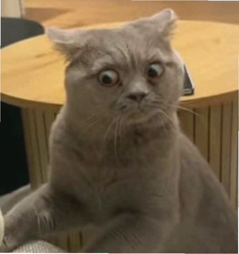 Meme nói nhại với biểu cảm hài hước của động vật