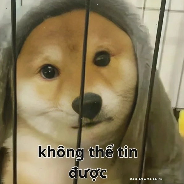 Meme thể hiện sự không thể tin được