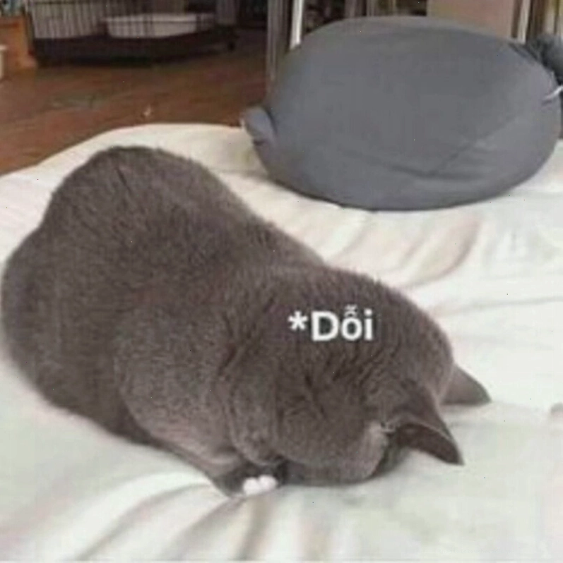 Meme tình yêu động vật thể hiện sự gắn bó