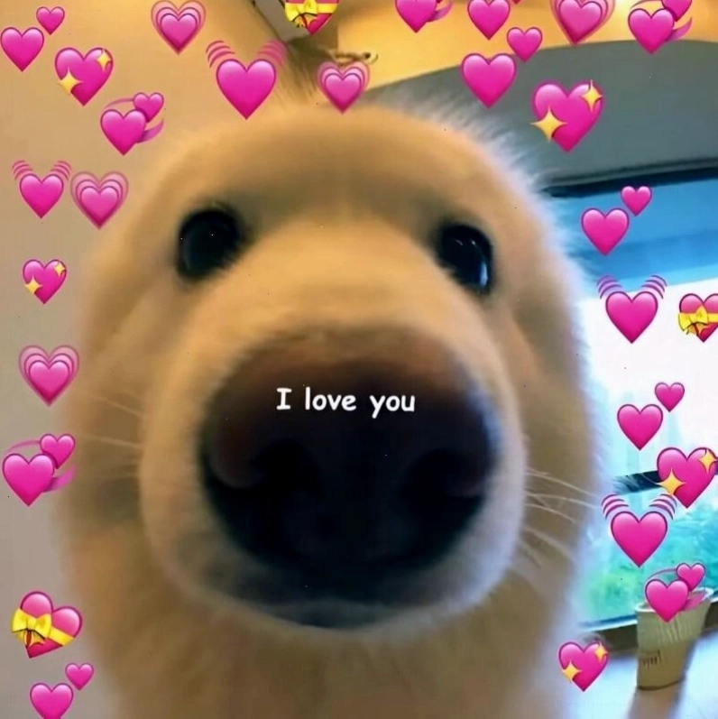 Meme tình yêu minh họa ý nghĩa ngọt ngào giữa các cặp đôi