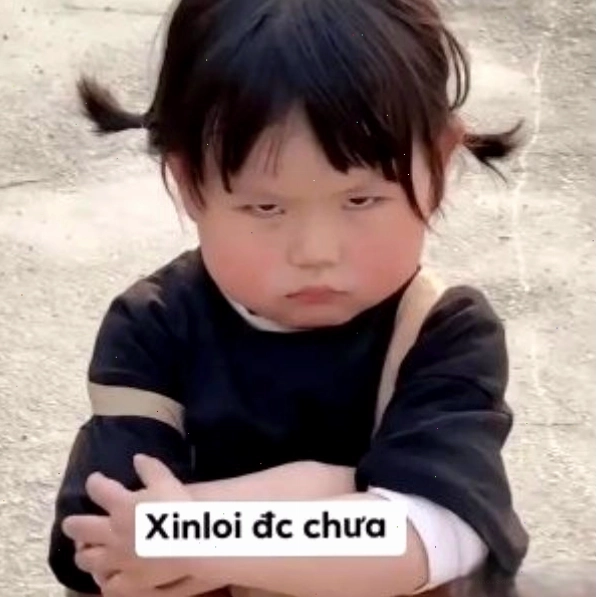 Meme xin chào ngộ nghĩnh