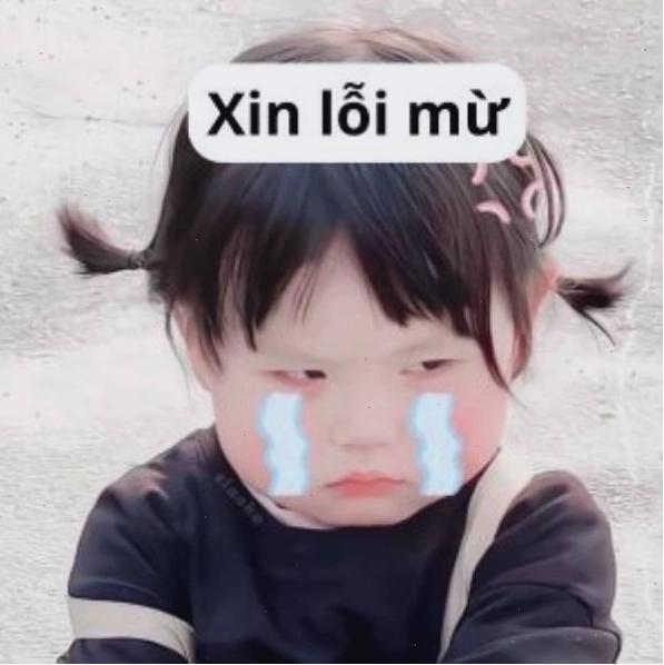 Meme xin chào phiên bản "chất"