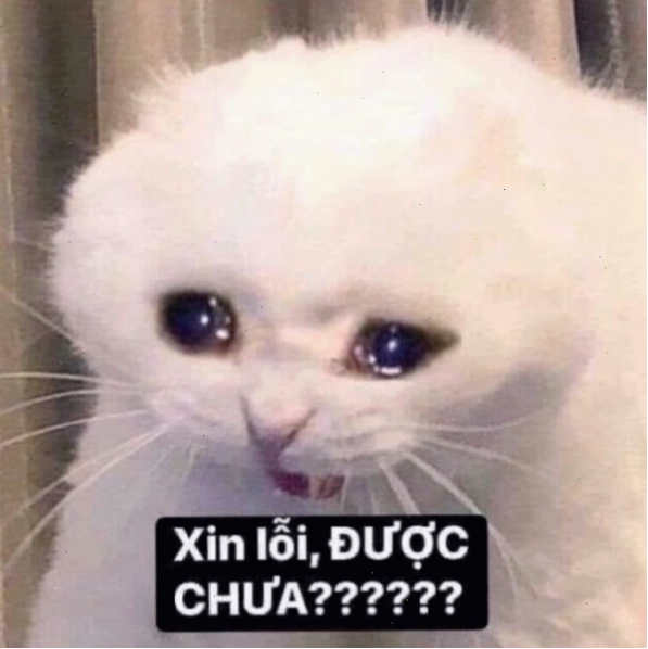 Meme xin chào "thả thính"