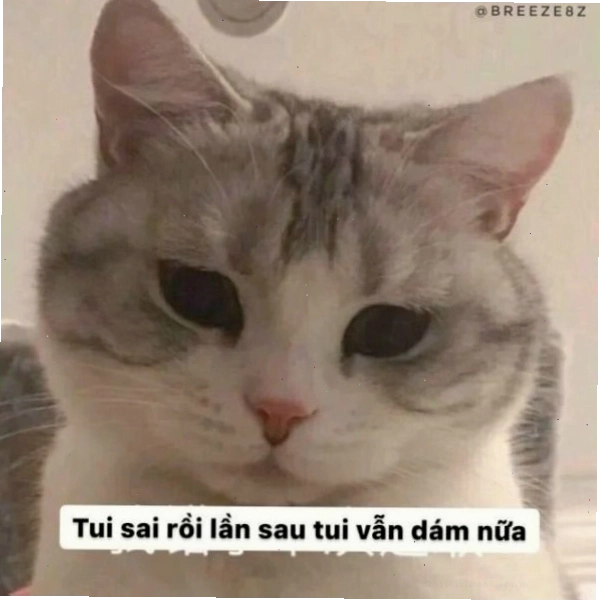Meme xin chào "tỉnh bơ"