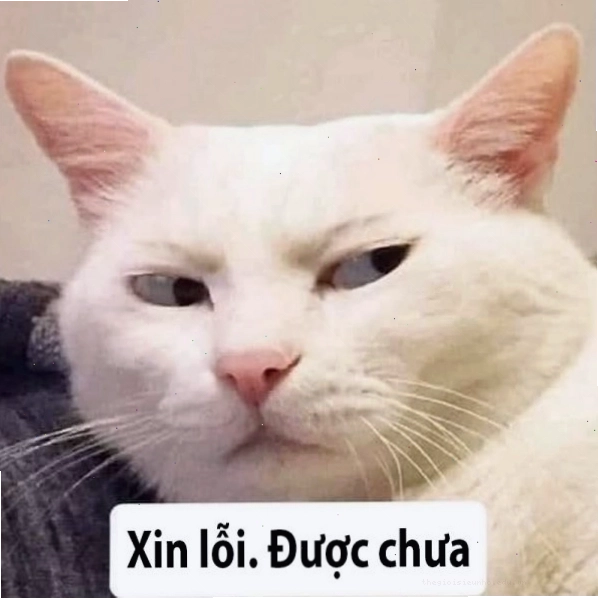 Meme xin chào với biểu cảm vui vẻ