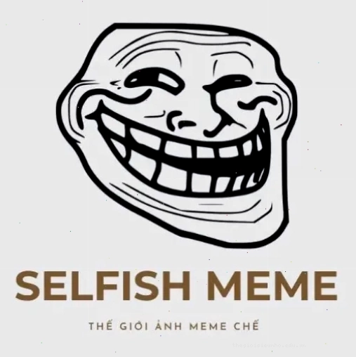 Meme "xin chào" với hình ảnh chú mèo đáng yêu