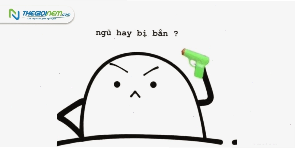 Mèo con ngái ngủ đáng yêu