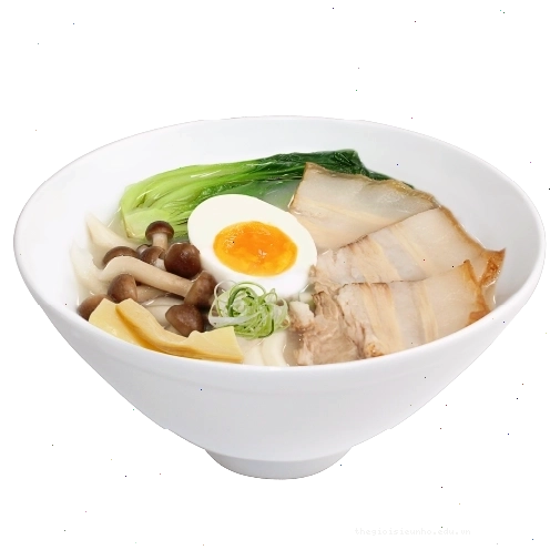 Mì Udon với thịt xá xíu và nước dùng Shoyu, gợi nhớ đến sự đa dạng của các món mì Nhật Bản