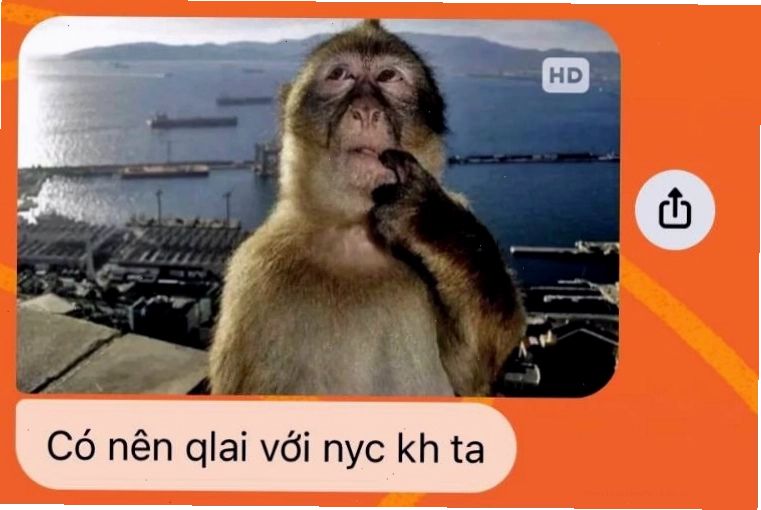 Minh họa cách mọi người sử dụng meme con khỉ suy nghĩ trong các ngữ cảnh khác nhau