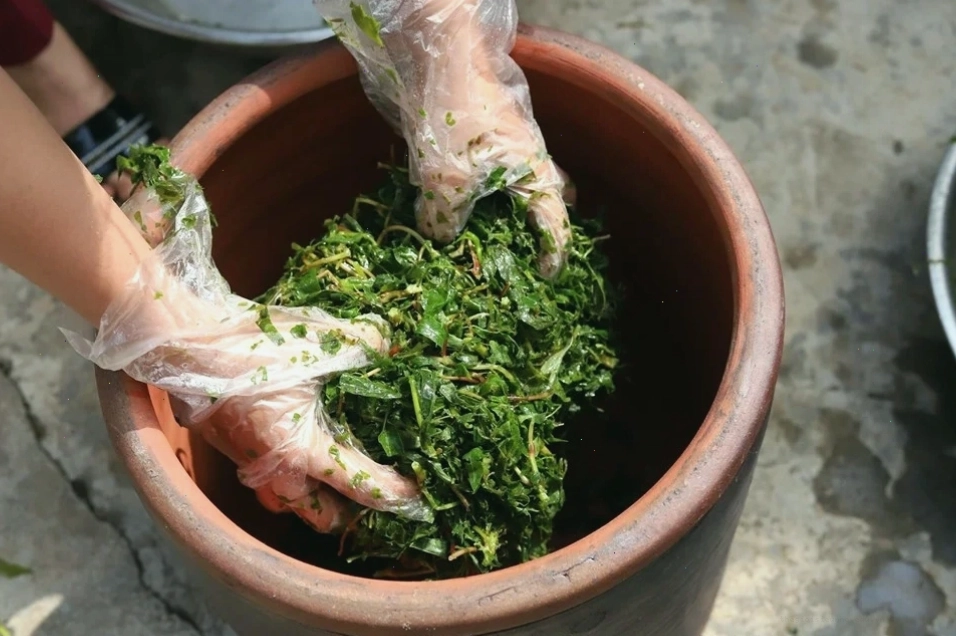 Món rau sắn muối chua hấp dẫn, đặc sản của vùng Phú Thọ.