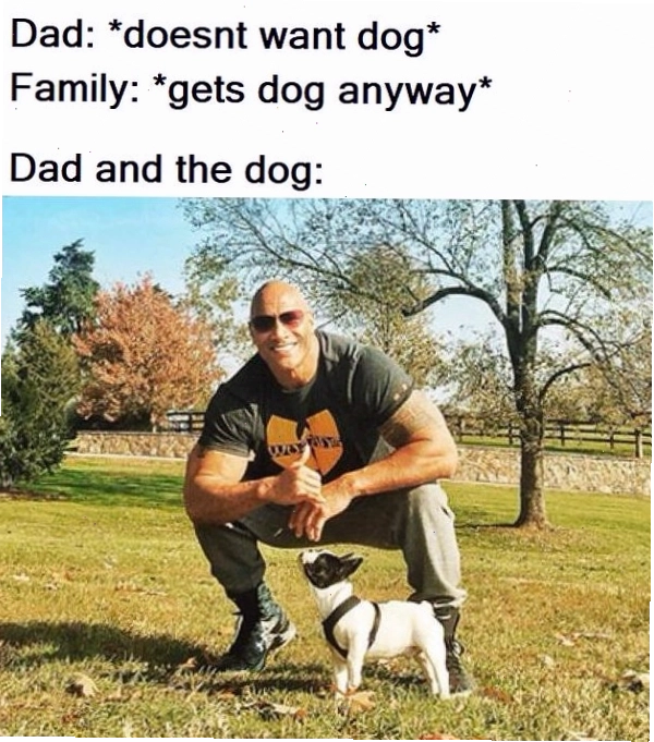 Một người đang cười sảng khoái khi xem happy memes