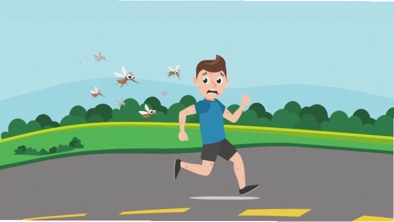 Muỗi là loài côn trùng phổ biến, truyền bệnh nguy hiểm tại Việt Nam