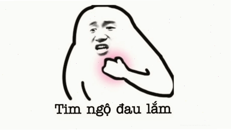 Những ảnh meme hài hước mang tính giải trí cao thu hút giới trẻ