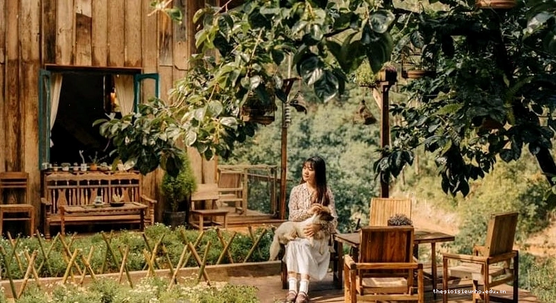 Quán cafe sân vườn với không gian xanh mát và khu vực ngồi ngoài trời