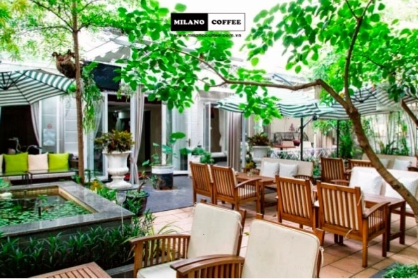 Quán cafe sân vườn với nhiều cây xanh tươi mát và nội thất gỗ mộc mạc