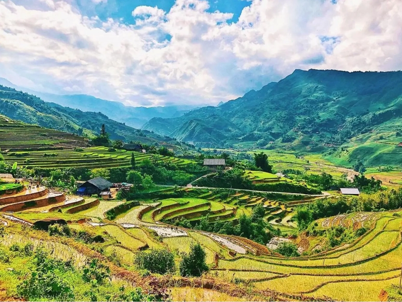 Ruộng bậc thang Mường Hoa đẹp như tranh vẽ