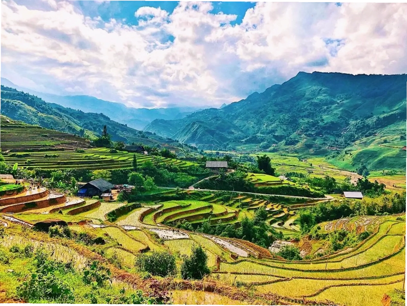 Ruộng bậc thang Mường Hoa tạo nên cảnh quan đẹp mắt tại Sa Pa