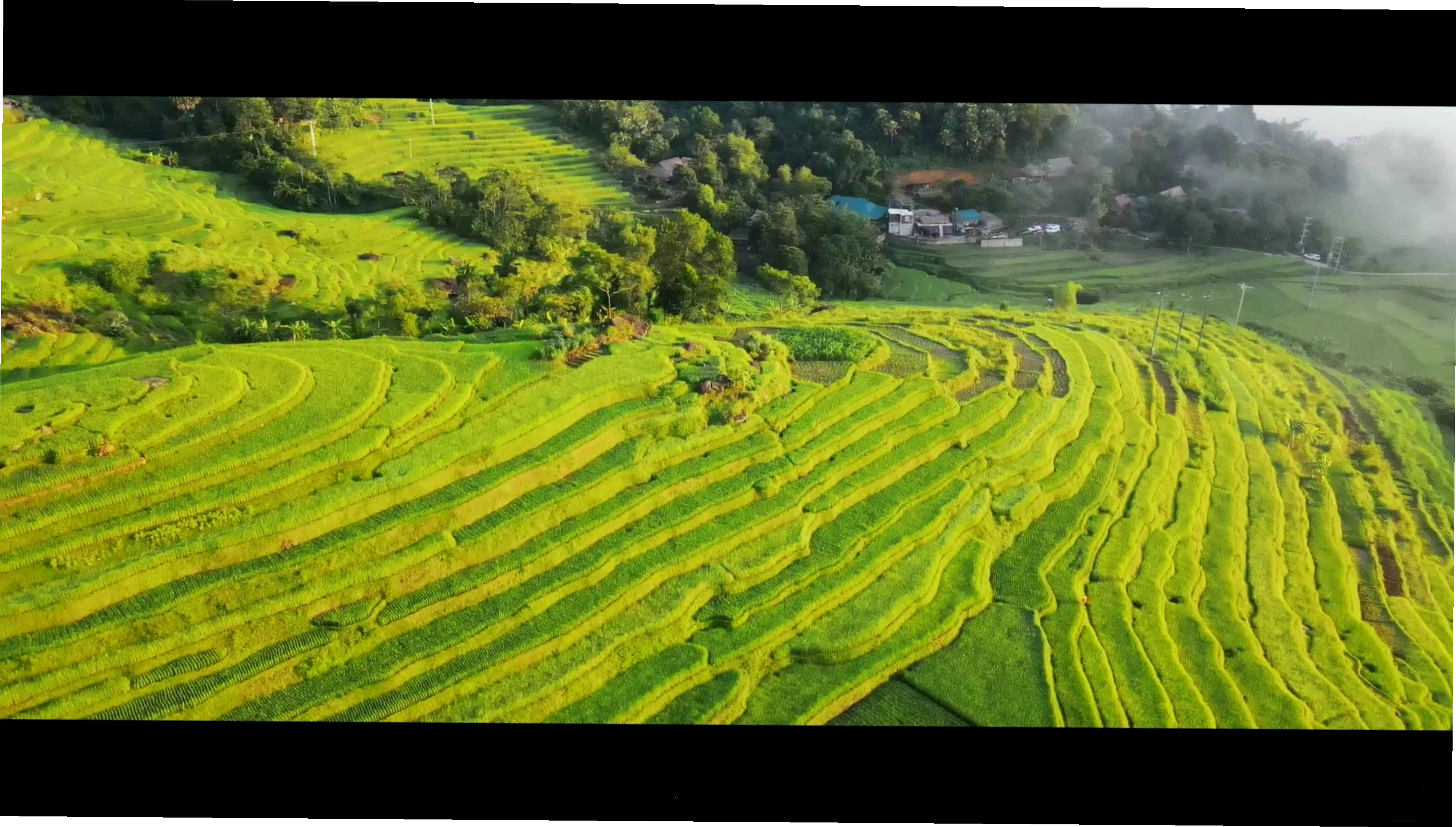 Ruộng bậc thang Pù Luông mùa lúa chín vàng rực