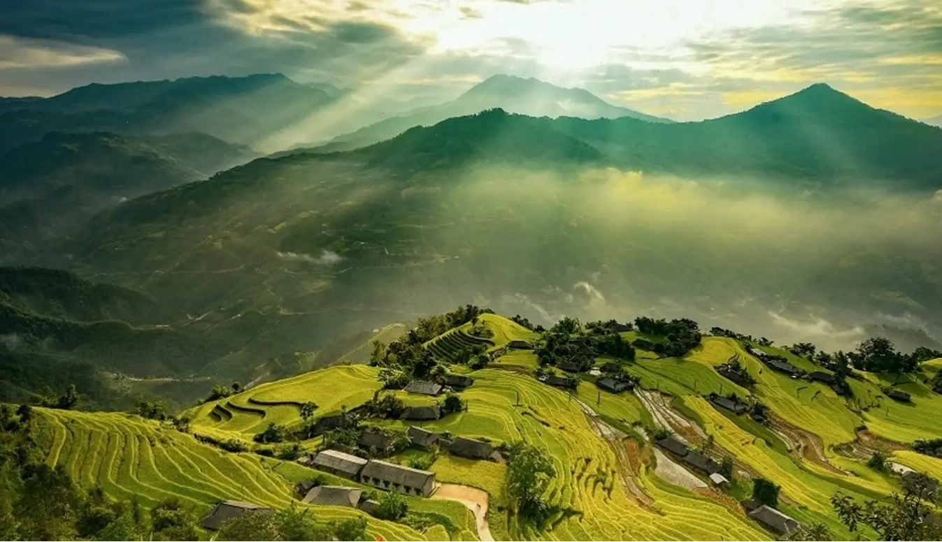 Ruộng bậc thang Su Phì mùa lúa chín