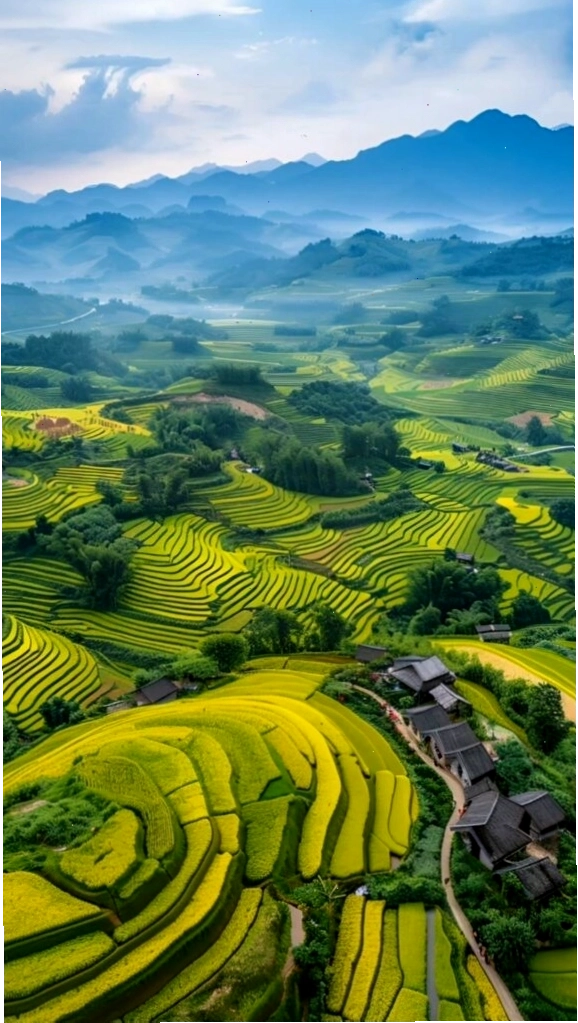 Ruộng bậc thang xanh mướt giữa núi rừng trùng điệp