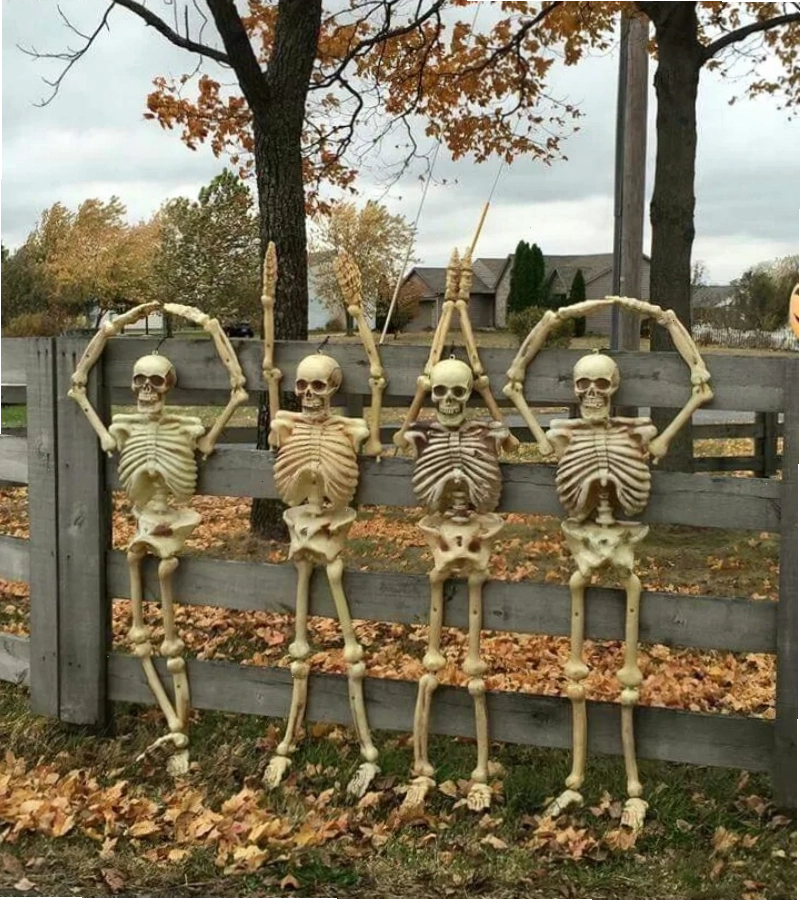 Skeleton hăng say tập thể dục, xương cũng phải khỏe