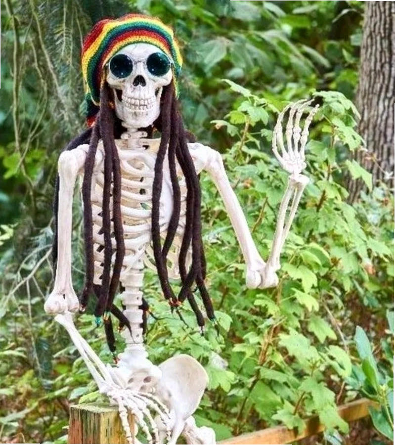 Skeleton tạo tiếng cười nhờ thần thái cực ấn tượng