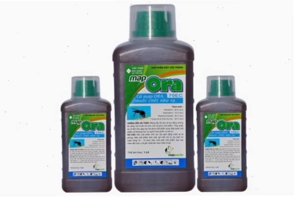 Sử dụng thuốc xịt côn trùng để diệt nhện