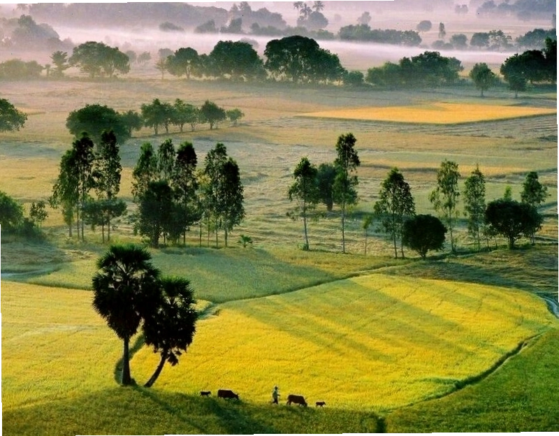 Suối Thanh Long An Giang với dòng nước chảy róc rách
