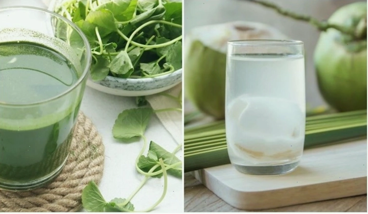 Tác dụng của việc uống nước dừa với rau ngót