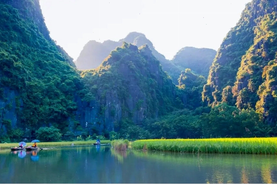 Tam Cốc Bích Động với cánh đồng lúa và dòng sông thơ mộng