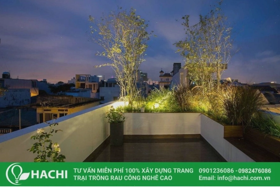 Tạo cảnh quan cho sân thượng gia đình với vườn rau xanh mát