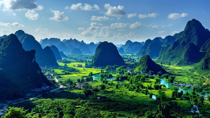 Thế giới san hô đa sắc màu dưới đáy biển được tái hiện chân thực bằng đồ họa 3D
