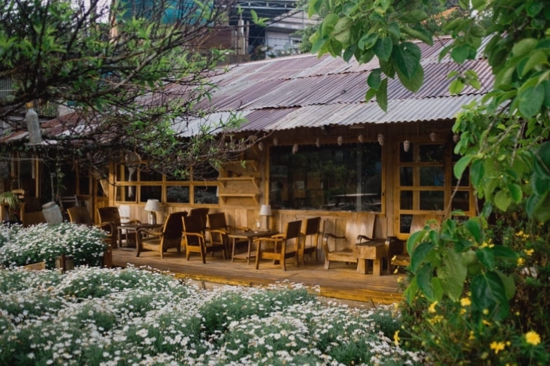 Thiết kế quán cafe sân vườn với nhiều loại cây xanh bao quanh tạo không gian thoáng đãng