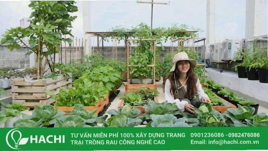 Thiết kế vườn rau trên sân thượng cần chú ý đến tải trọng và kết cấu